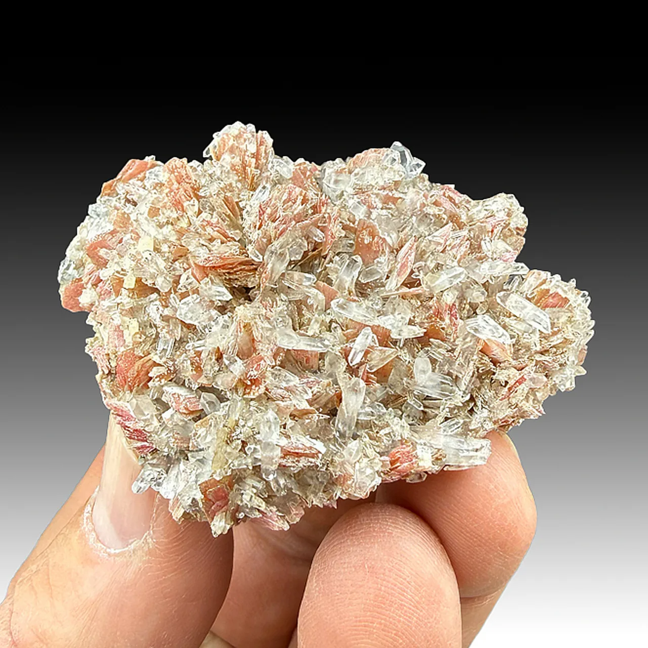 Rhodonite with Quartz - image 1