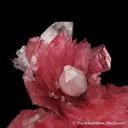Rhodonite with Quartz, Calcite and Pyrite - image 1