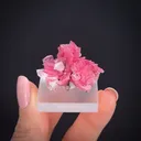 Rhodonite with Quartz, Calcite and Pyrite - image 2