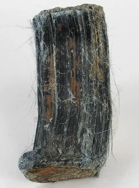 Riebeckite (Var: Crocidolite) image