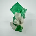 Riemvasmaak Fluorite - image 1