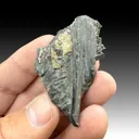 Rinkite-Ce with Aegirine - image 1