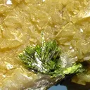 Rodalquilarite, Alunite - image 3