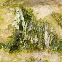 Rodalquilarite on Alunite - image 2