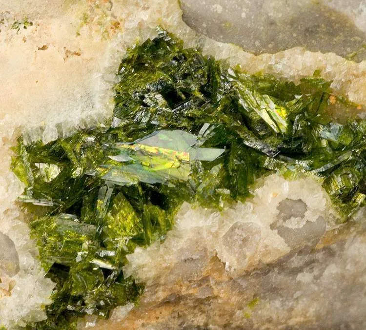 Rodalquilarite on Alunite image