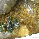Rodalquilarite on Alunite - image 1