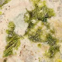 Rodalquilarite on Alunite - image 2