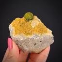 Rodalquilarite with Alunite, Jarosite & Quartz - image 2