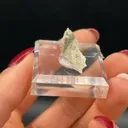 Rodalquilarite with Jarosite - image 2