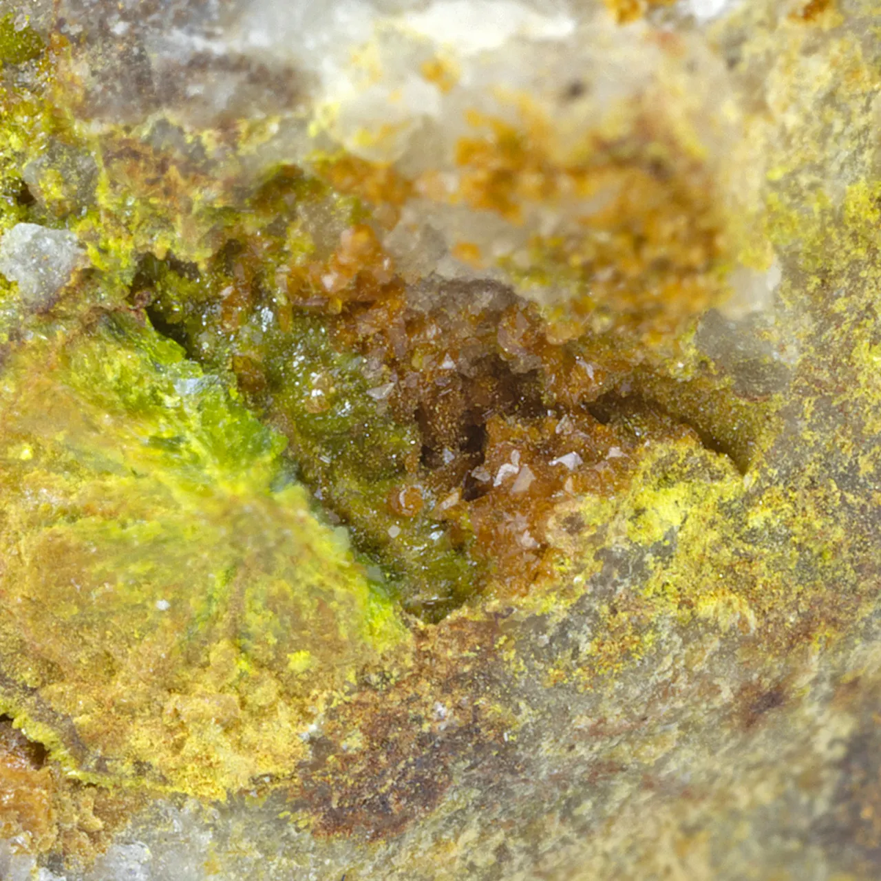 Rodalquilarite with Jarosite - image 1
