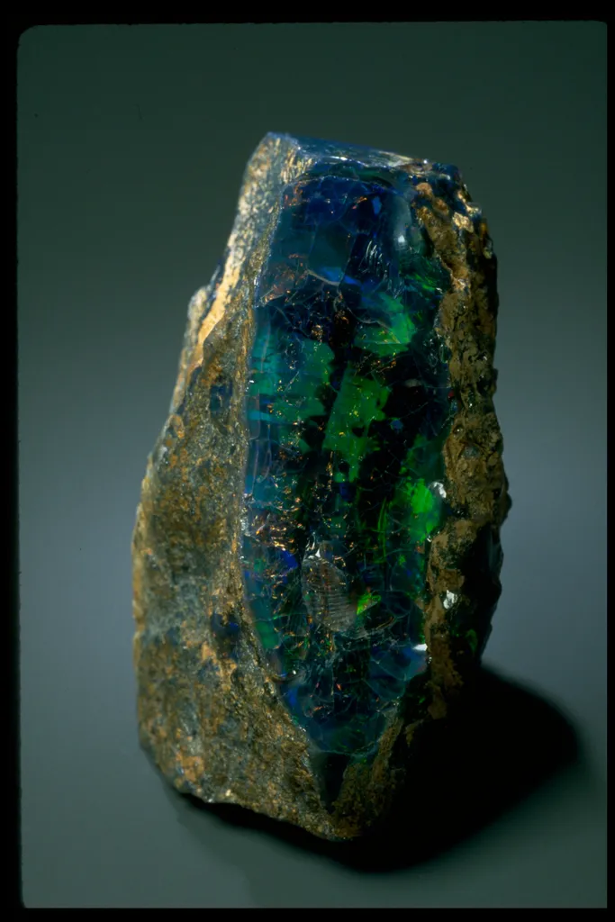 Roebling Black Opal from Virgin Valley, Nevada - image 3