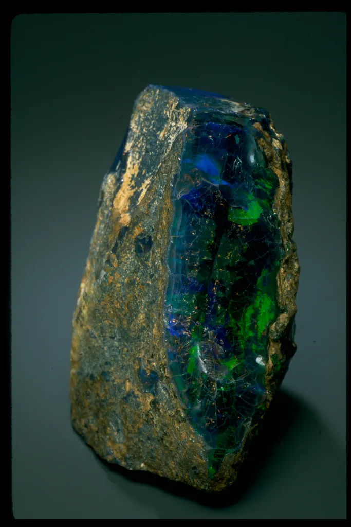 Roebling Black Opal from Virgin Valley, Nevada - image 4