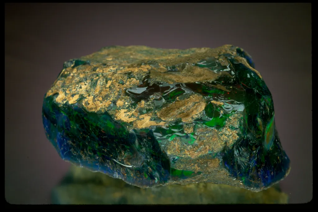 Roebling Black Opal from Virgin Valley, Nevada - image 2