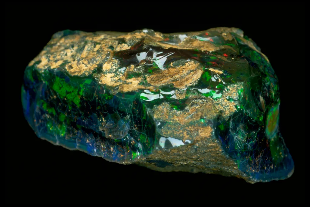 Roebling Black Opal from Virgin Valley, Nevada image