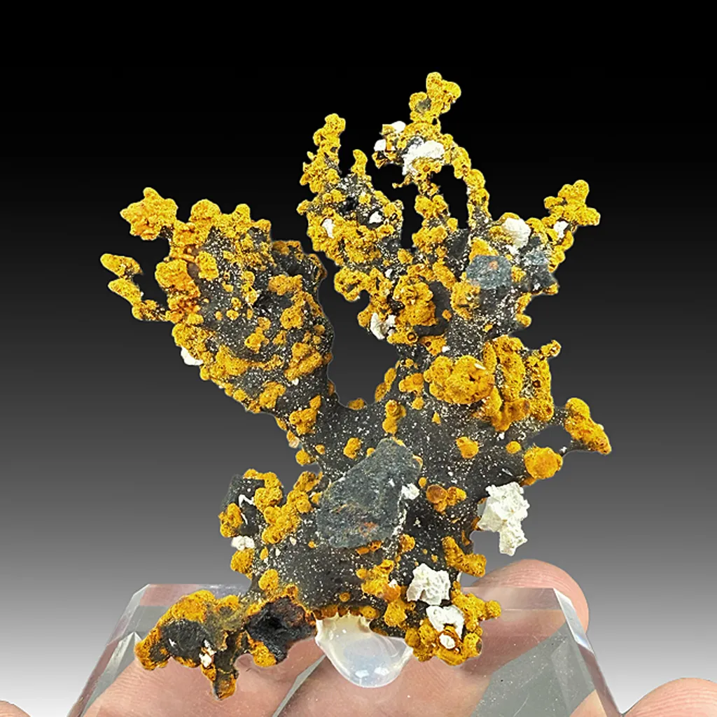 Romanechite with Goethite image