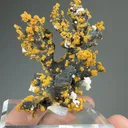 Romanechite with Goethite - image 2