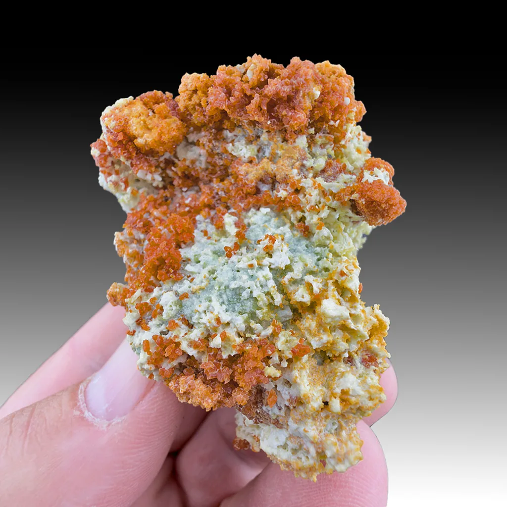 Romerite with Goslarite, Chalcanthite image