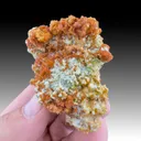 Romerite with Goslarite, Chalcanthite - image 1