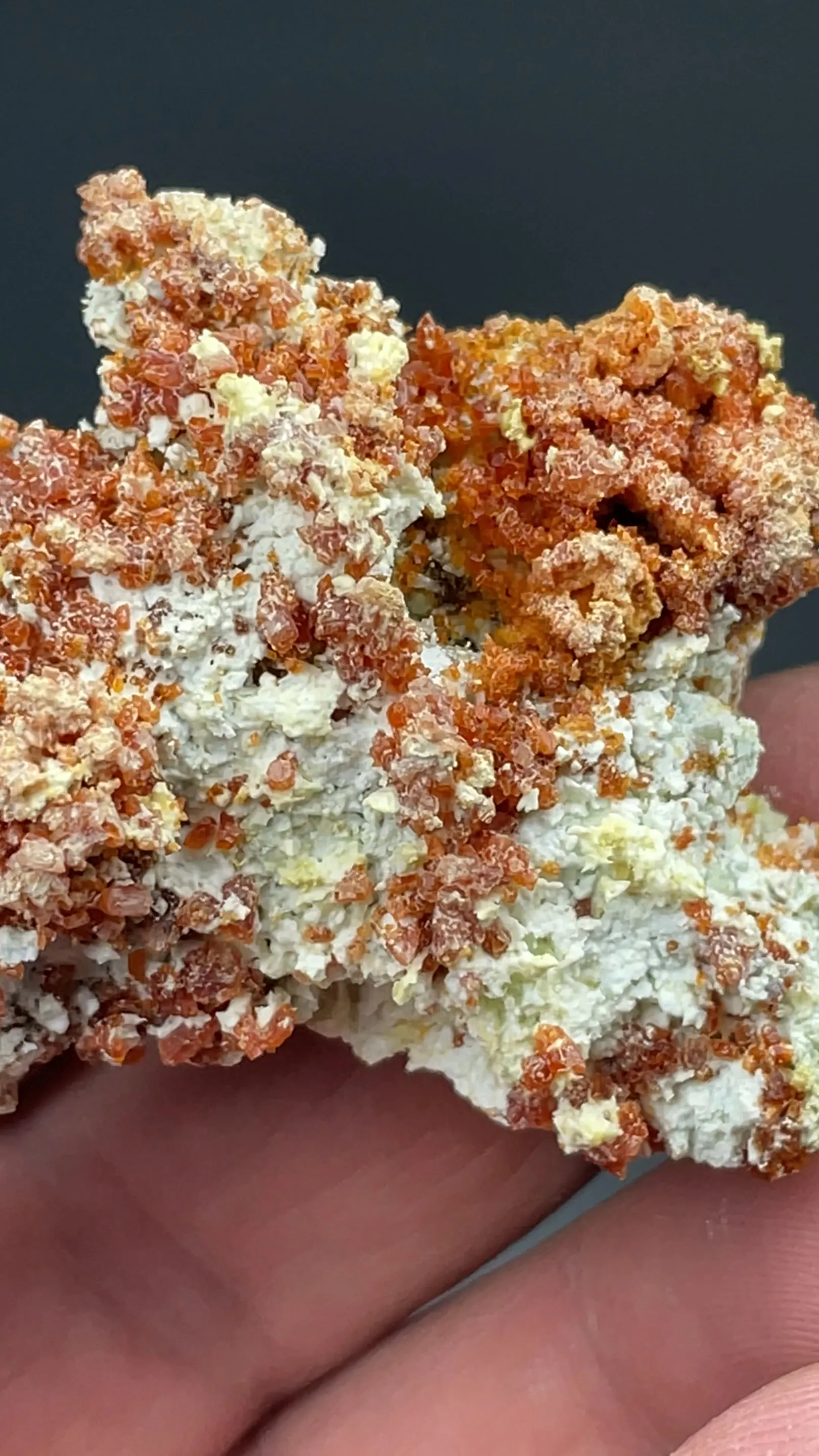 Romerite with Goslarite, Chalcanthite - image 2