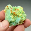 Romerite with Goslarite, Chalcanthite - image 2