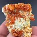 Romerite with Goslarite, Chalcanthite - image 2