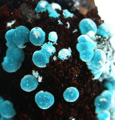 Rosasite - image 2