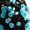 Rosasite - image 2