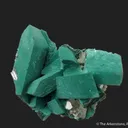 Rosasite after Malachite ps. Azurite, with Cerussite - image 10