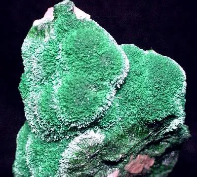 Rosasite image