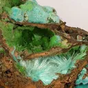 Rosasite, Conichalcite - image 2
