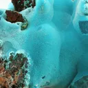 Rosasite - image 2