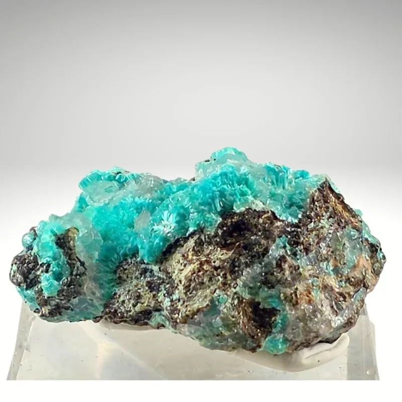 Rosasite from Mexico, Durango, Mapimí, Ojuela Mine - image 3