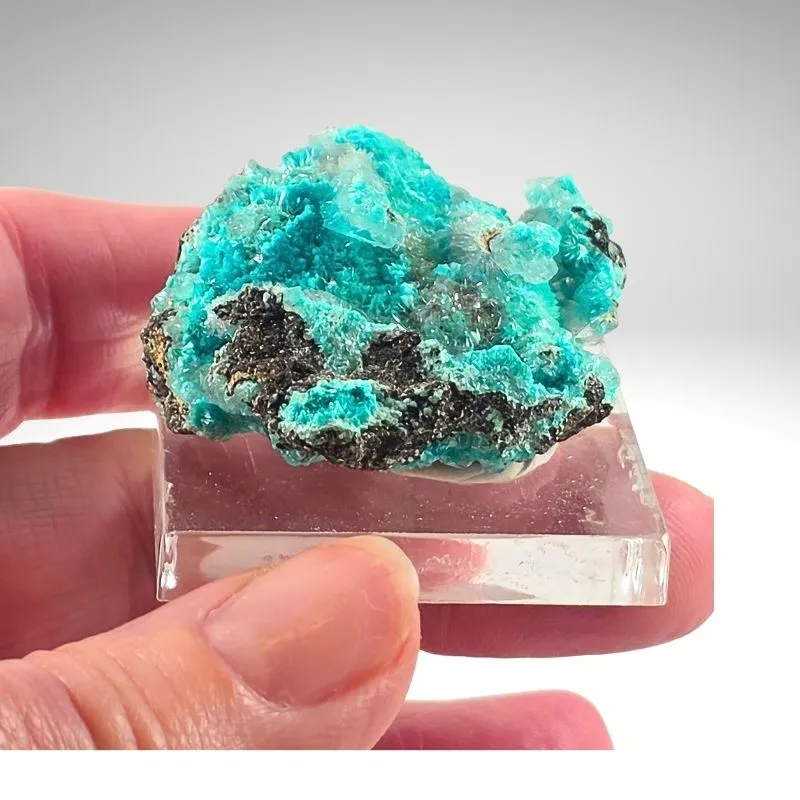 Rosasite from Mexico, Durango, Mapimí, Ojuela Mine - image 5