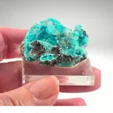 Rosasite from Mexico, Durango, Mapimí, Ojuela Mine - image 5