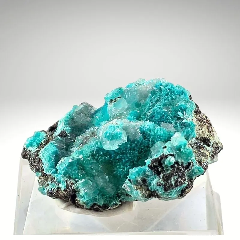 Rosasite from Mexico, Durango, Mapimí, Ojuela Mine - image 2