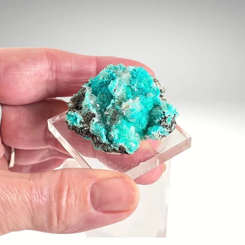 Rosasite from Mexico, Durango, Mapimí, Ojuela Mine - image 6
