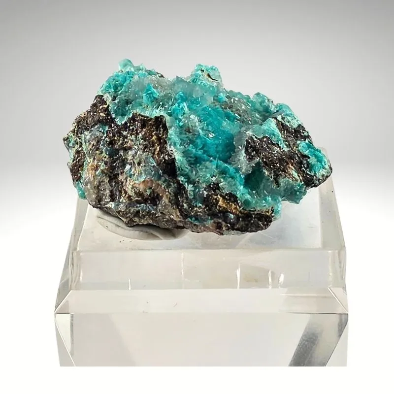 Rosasite from Mexico, Durango, Mapimí, Ojuela Mine - image 4