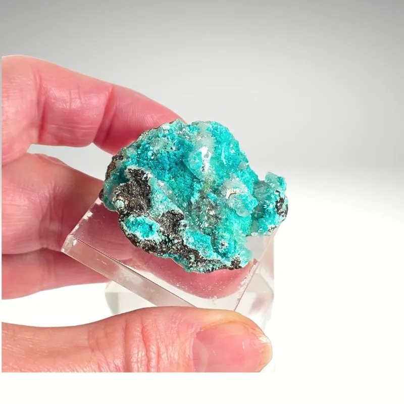 Rosasite from Mexico, Durango, Mapimí, Ojuela Mine - image 7