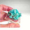 Rosasite from Mexico, Durango, Mapimí, Ojuela Mine - image 7