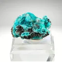 Rosasite from Mexico, Durango, Mapimí, Ojuela Mine - image 1