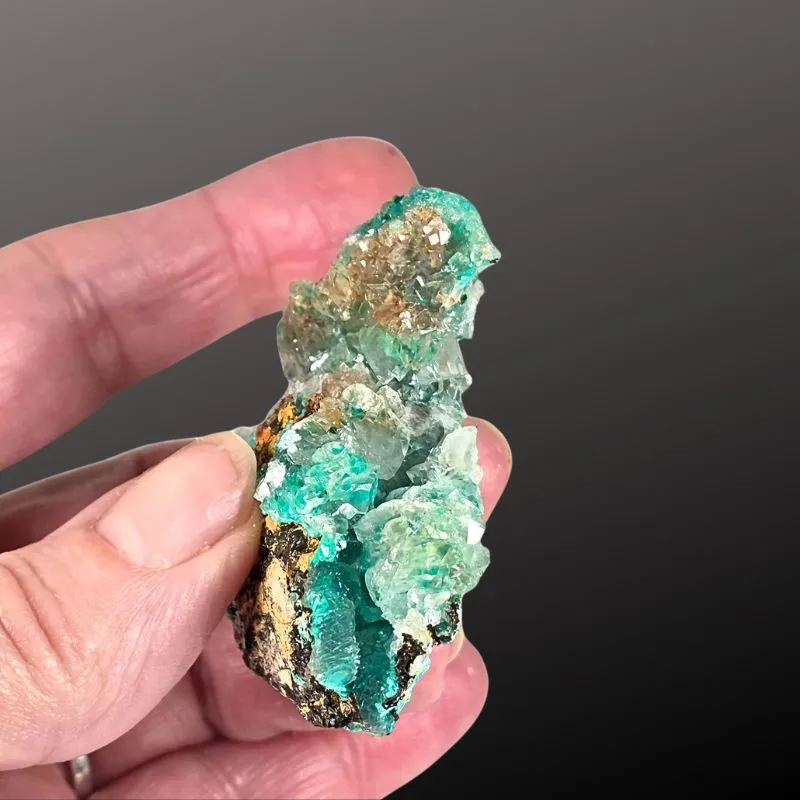 Rosasite from Mexico, Durango, Mapimí, Ojuela Mine - image 7