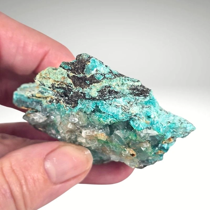 Rosasite from Ojuela Mine, Mapimí, Durango, Mexico - image 5