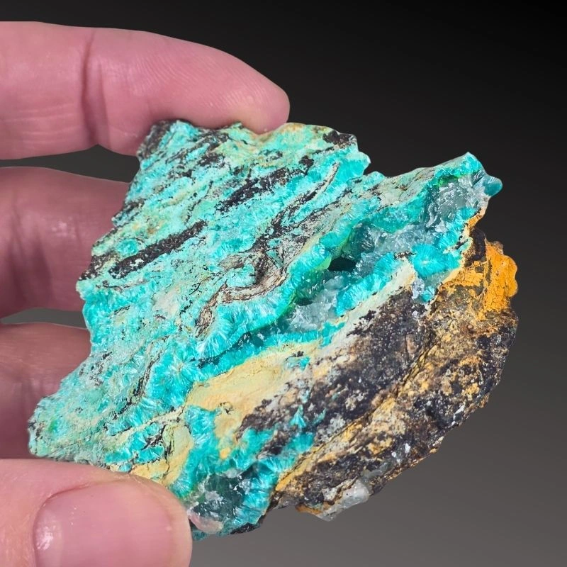 Rosasite from Ojuela Mine, Mapimí, Durango, Mexico - image 7