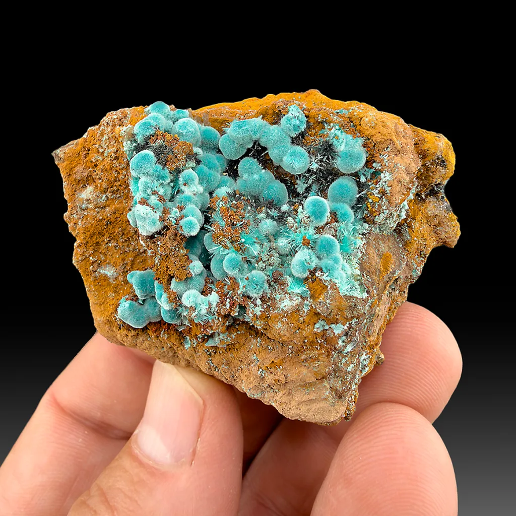 Rosasite from Ojuela Mine, Mapimí, Durango, Mexico image