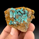 Rosasite from Ojuela Mine, Mapimí, Durango, Mexico - image 1