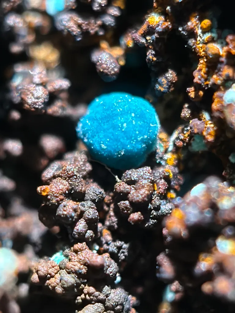 Rosasite from the Omega Mine,  Arizona image