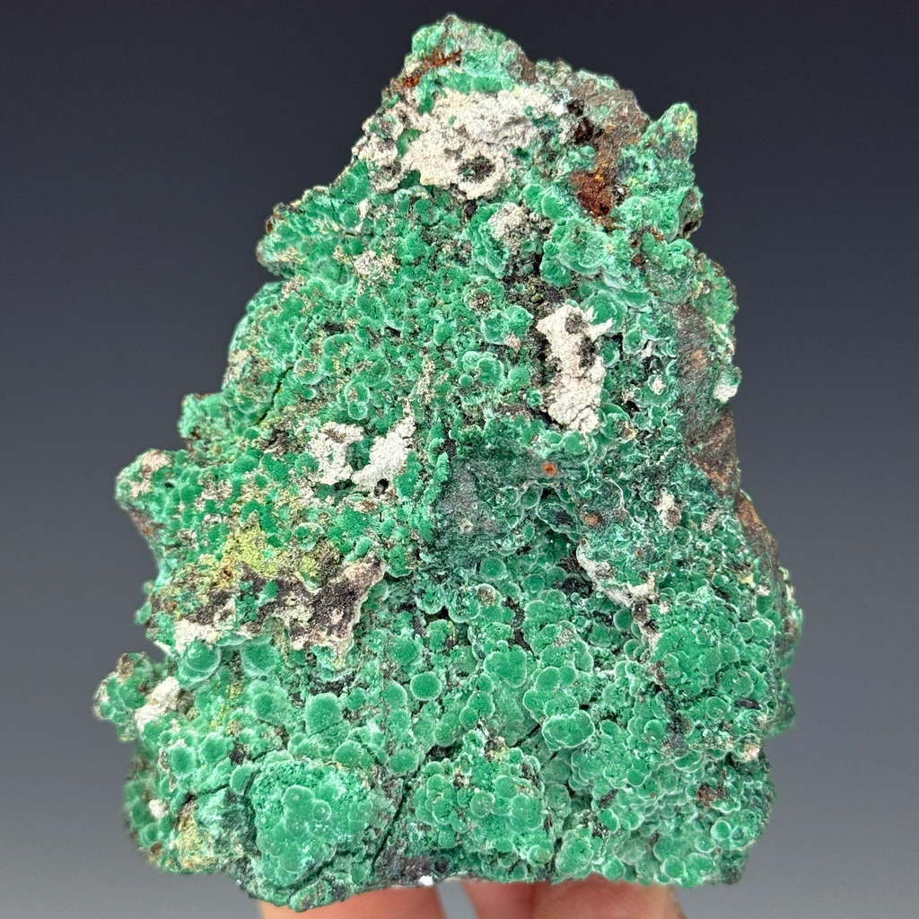 Rosasite from Tsumeb, Oshikoto Region, Namibia image