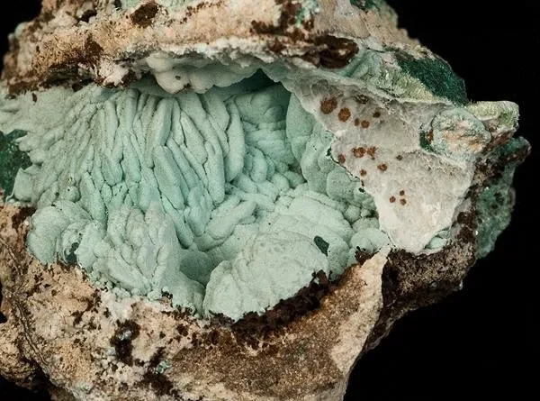 Rosasite, Malachite, Azurite - image 2