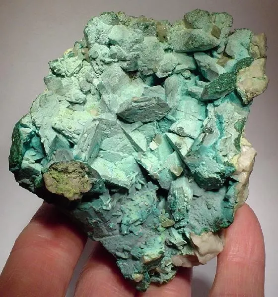 Rosasite, Malachite, Azurite image