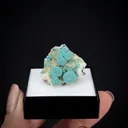 Rosasite on Calcite - image 2